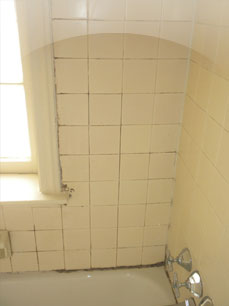 Shower Restoration Before