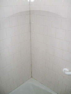 Shower Restoration Before